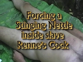 Sticking a stinging nettle in renne's urethra